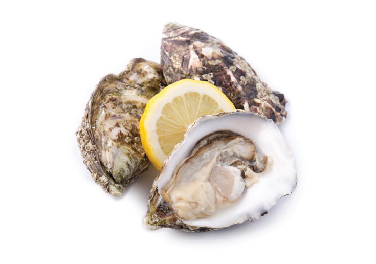Edward Gallagher Irish Oysters A Taste of the Emerald Isle SOUTHERN