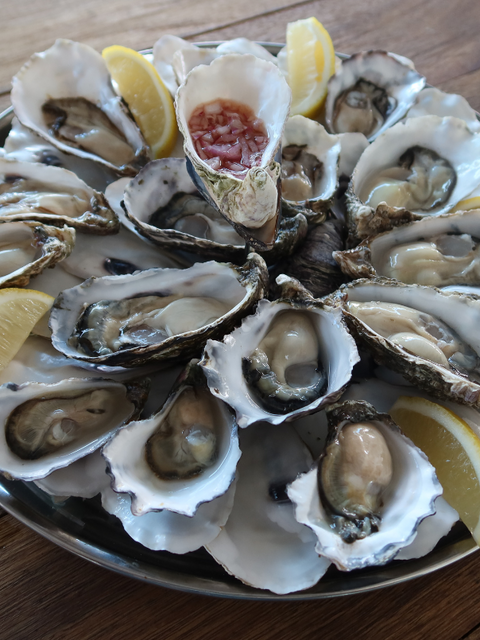 Oyster Menu (BCS)