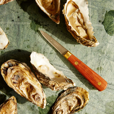 Premium Oyster Shucking Knife