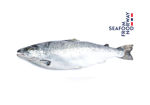 Salmon, Atlantic Salmon, Whole +/-4.5kg, Norway