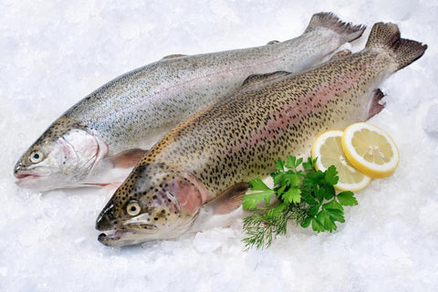 Trout, Rainbow Trout, Whole +/-350g, UK