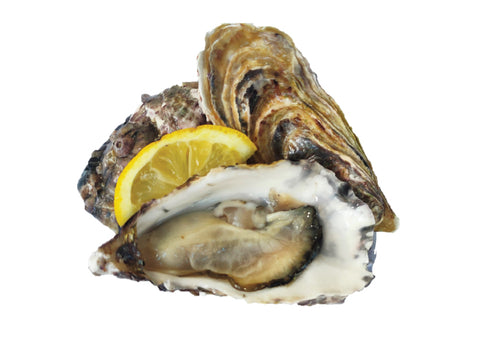 Fine de Claire Oyster