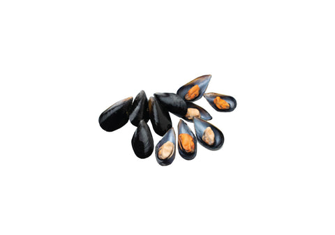 Live Mussels