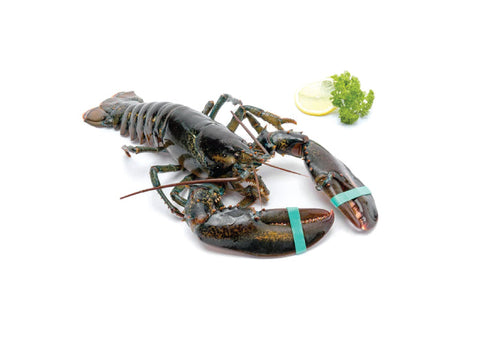 Blanched Boston Lobster, 600-700g, USA