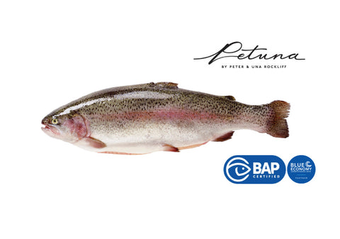 Trout, Petuna Ocean Trout, Whole +/-4kg,  Australia