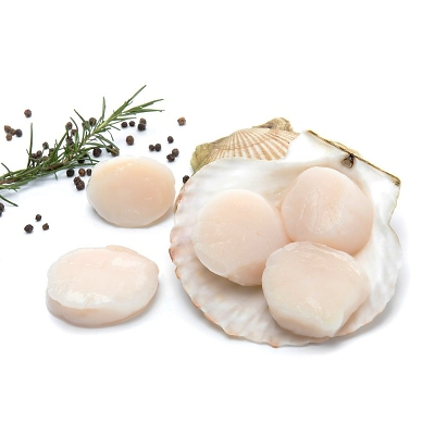 Scallop, Frozen Hokkaido Sea Scallop, Wild Caught, 500gm, Japan