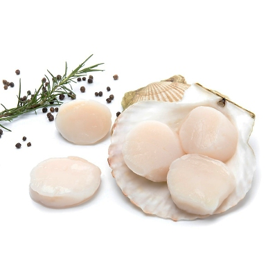 Scallop, Frozen Hokkaido Sea Scallop, Wild Caught, 500g, Japan