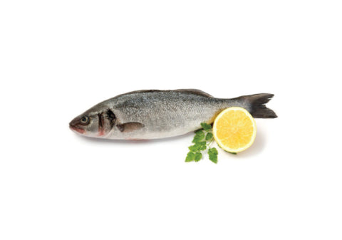 Seabass, Greek Seabass, Whole +/-300-400g, Greece