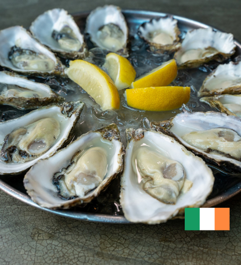 Gallagher Special, Ireland