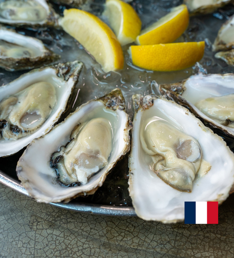 Fine de Claire, France