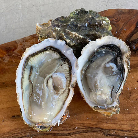 Poole Rock Oyster Dozen, UK (W)
