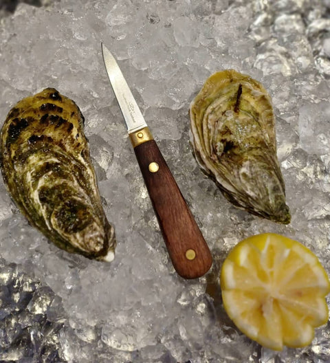 Premium Oyster Shucking Knife