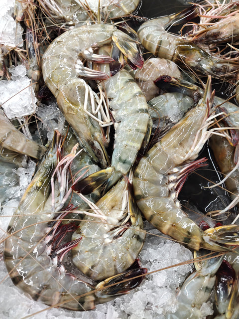 Prawn,Fresh-Frozen Tiger Prawn, nett 1kg, Malaysia