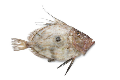 John Dory Whole, UK or 150gm Portion Fillet (PRE-ORDER)