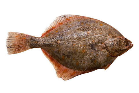 Whole Plaice, UK (400g-500gm)