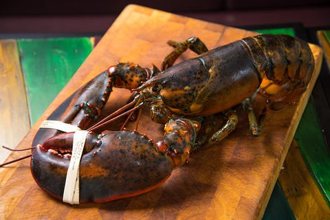 Lobster, Live Boston Lobster, 500-600g, USA