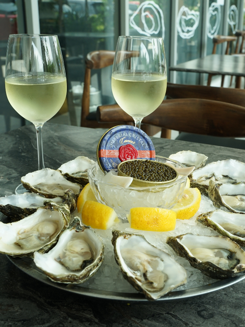 Oysters, Wine, and Guinness Pairing