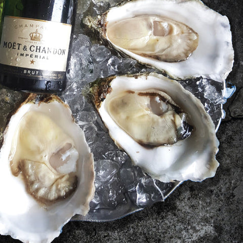 Oysters, Wine, and Guinness Pairing