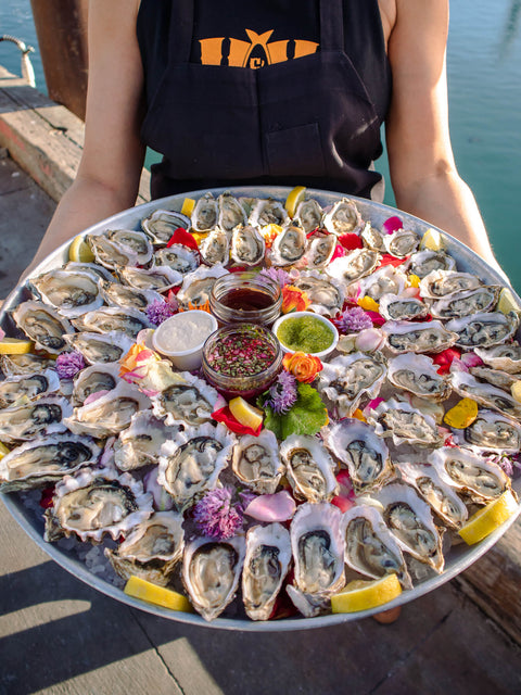 6 DOZEN PARTY OYSTER