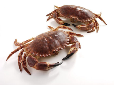 Brown Crab +-500gm, UK