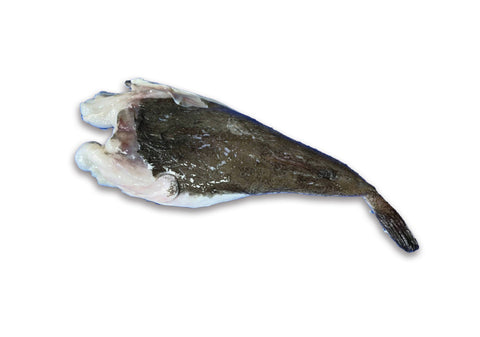 Monkfish, Whole, Headless, Holland +/-1.2kg-1.6kg