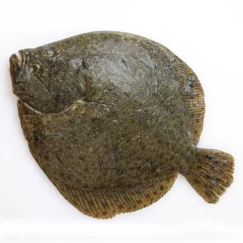Turbot Whole +-3kg or 150gm fillet portion