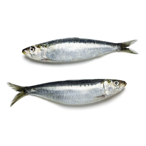 Fresh Filleted Sardine 3 pcs- Raw