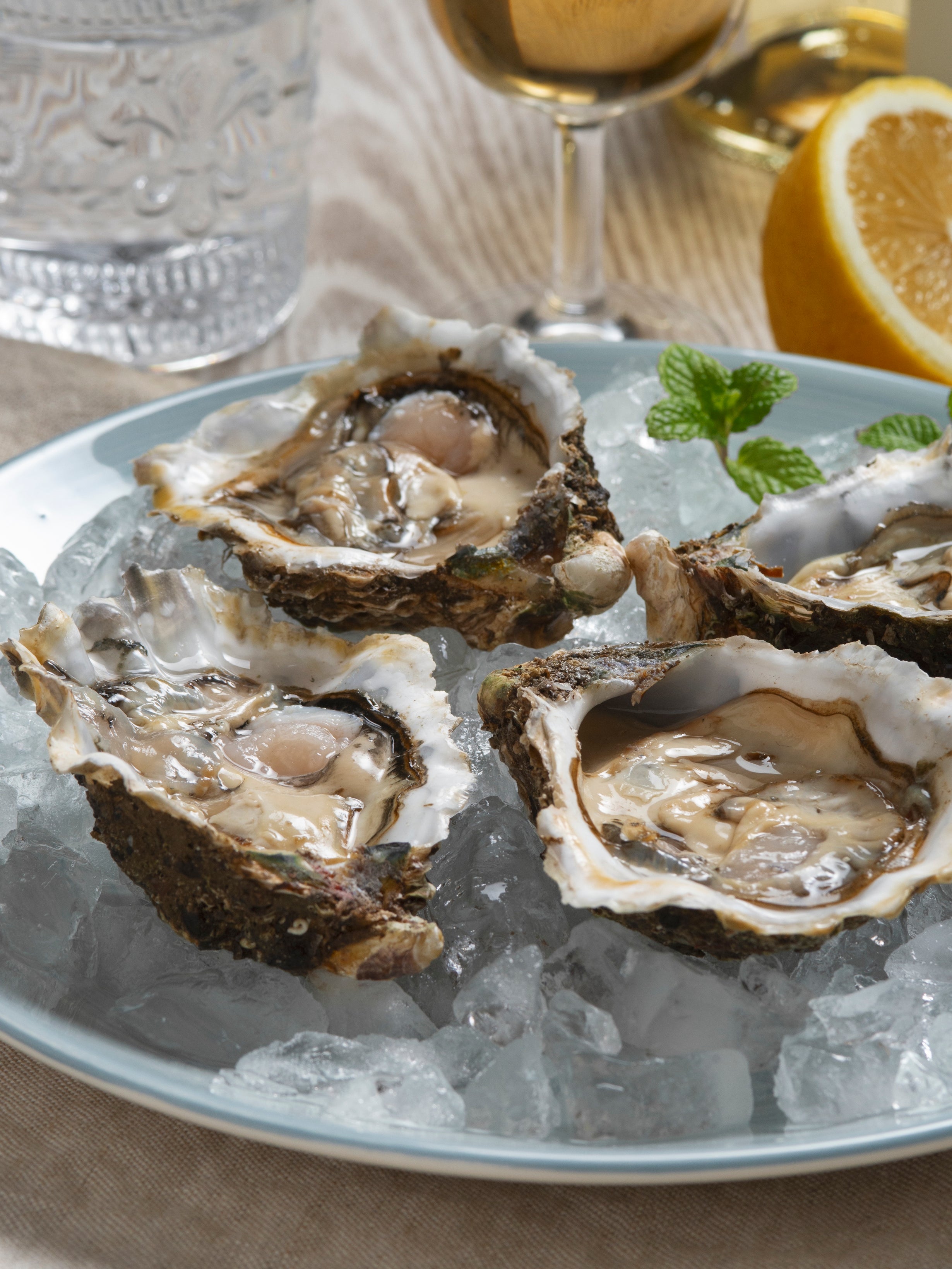 Tragheanna Bay Oyster from Ireland – SOUTHERN ROCK SEAFOOD