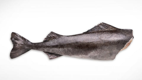 Headless Black Cod, IQF, +- 3kg