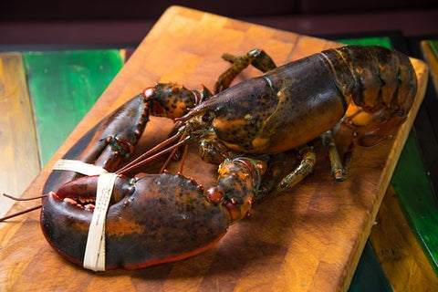 Cooked Boston Lobster, 500-600g, USA