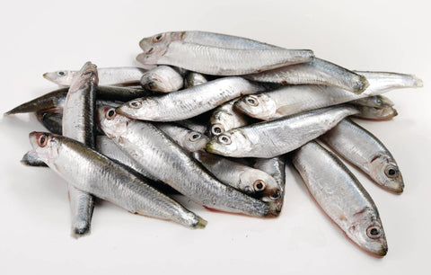 Whitebait 1kg, UK
